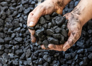 SWISS GLOBAL TRADING LIMITED
